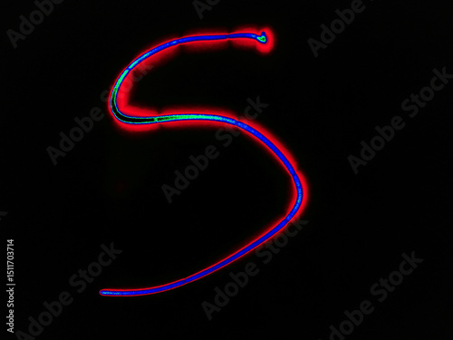 Glowing English letter S. On a black background with colored neon lines, a letter of the English alphabet is written by hand. The letter glows pink-red, creating a green-blue halo around it.