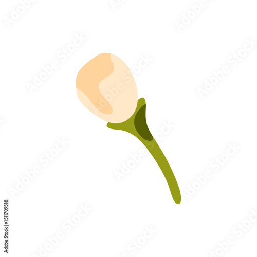 Cartoon Cream Flower Bud Icon — simple flat botanical illustration of a delicate unopened flower with green stem, isolated on white background.