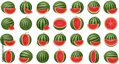 A collection of realistic watermelon illustrations, including whole watermelons, halved watermelons, and watermelon slices, showing the green striped rind and red juicy flesh with black seeds.
