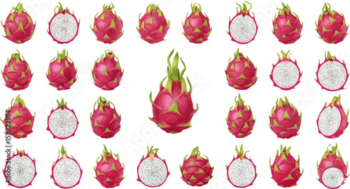 A collection of realistic dragon fruit (pitaya) illustrations, including whole fruits with vibrant pink skin and green scales, and cross-sections revealing the white flesh with black seeds.