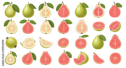 A collection of realistic guava illustrations in various forms, including whole green guavas, whole pink guavas, halved guavas showing white and pink flesh, and guava slices, some with leaves.