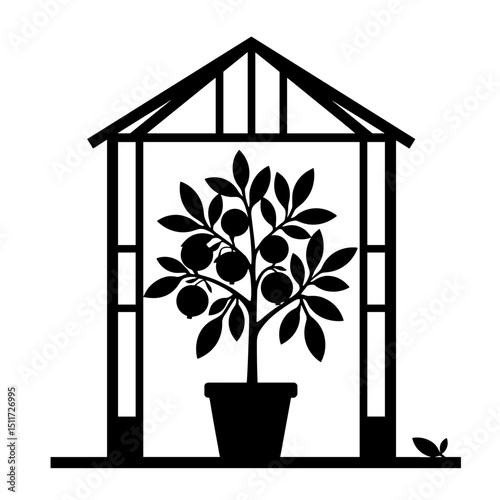 Potted Citrus Tree Silhouette in Greenhouse – Indoor Farming Innovation