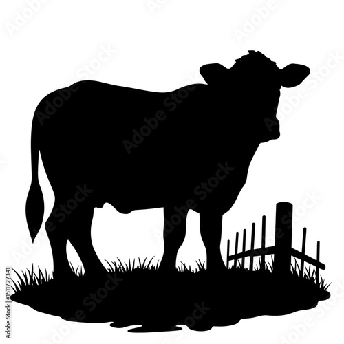 Cow Near Fence Silhouette – Livestock Farming in Rural Setting