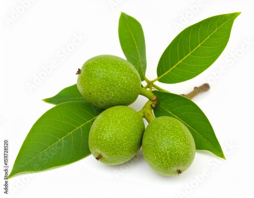 Wallpaper Mural Green walnuts isolated on white background  Torontodigital.ca