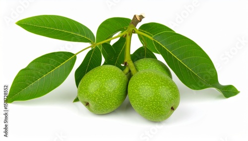 Wallpaper Mural Green walnuts isolated on white background  Torontodigital.ca