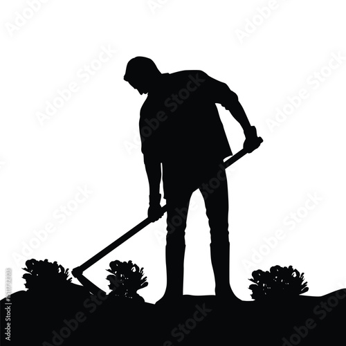 Silhouette of a Farmer Hoeing Soil Among Crops in the Field, Agricultural Work Scene
