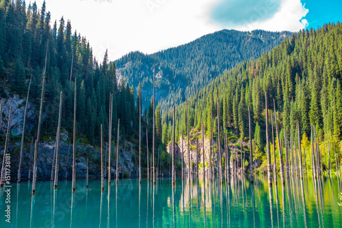 Fototapeta Naklejka Na Ścianę i Meble -  Sunken forest of Lake Kaindy in Kazakhstan. Beautiful mountain natural landscape. A blue lake with tree trunks sticking out of it. Panoramic view of the reserve.