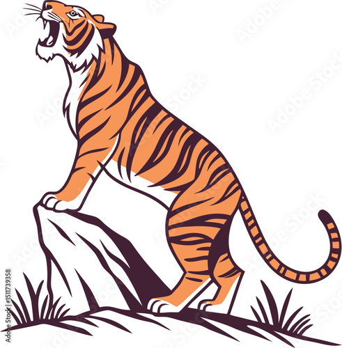 Photography tiger