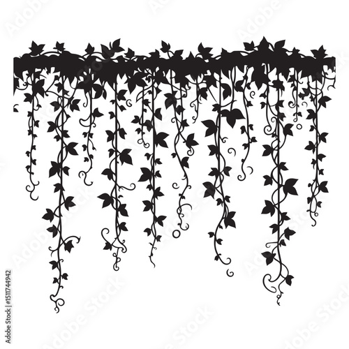 Cascading Ivy Vines Silhouette Illustration with Intricate Details