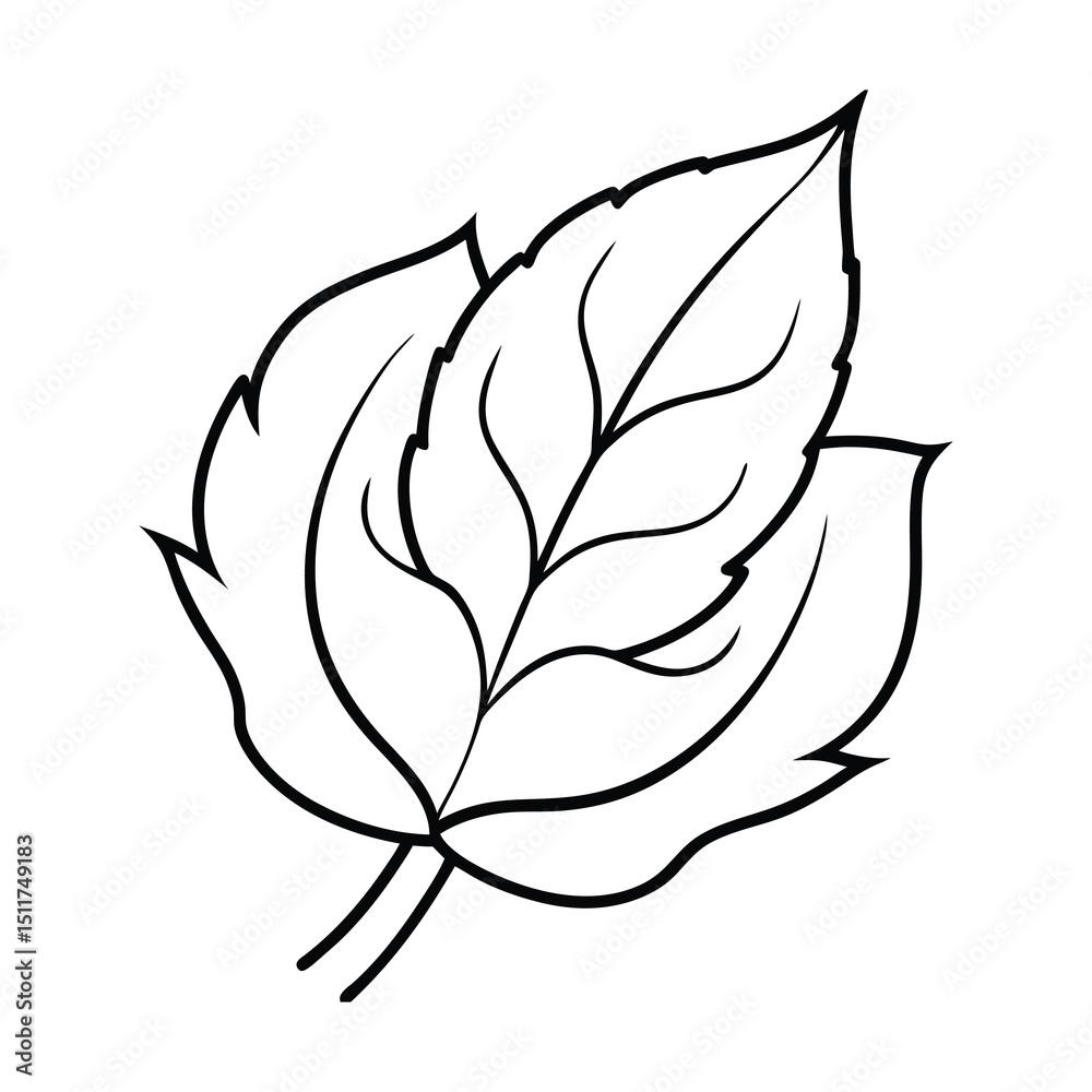 Fototapeta premium rose leaf svg