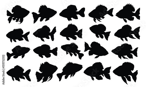 Fish silhouette set vector design big pack of fish illustration and icon