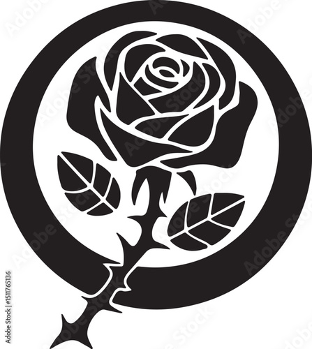 rose on black background