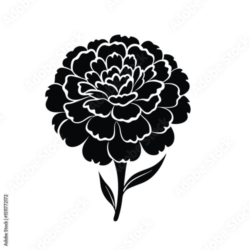 Elegant Black and White Marigold Flower Illustration with Detailed Petals and Stem Design