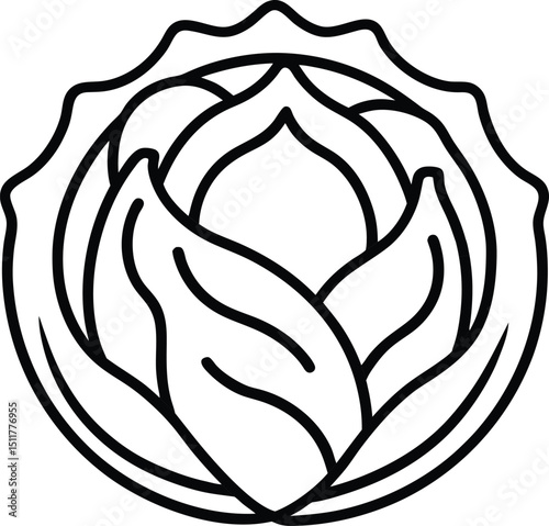 cabbage vector icon on transparent background 