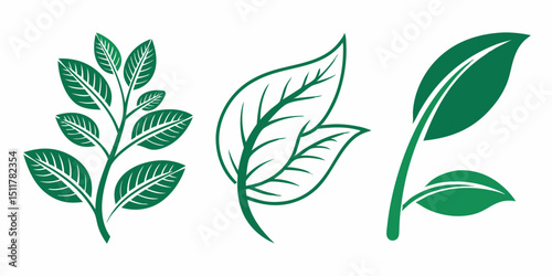 Set of Green Leaf Icons – Eco-Friendly Leaf Logos on White Background Vector


