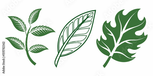 Set of Green Leaf Icons – Eco-Friendly Leaf Logos on White Background Vector

