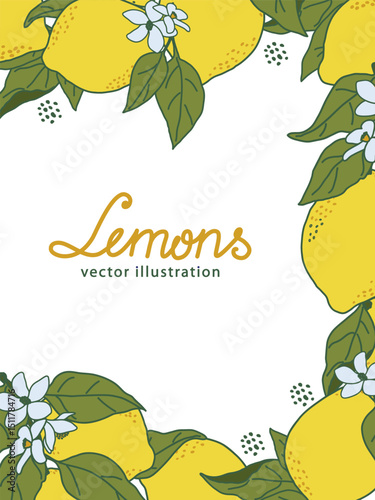 Lemons and leaves create a vibrant frame in this vector illustration. Bright yellow lemons and green leaves surround the edges, bringing a fresh citrusy touch to any design project.