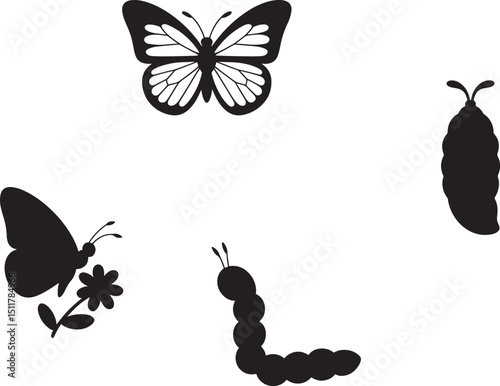 Silhouette Illustration of Butterfly Life Cycle Stages on Black Backdrop, Nature's Transformation, Growth, and Metamorphosis