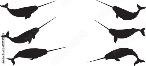Silhouette Style Narwhal Set on Black Background Aquatic Mammals with Horns for Marine Life Illustrations