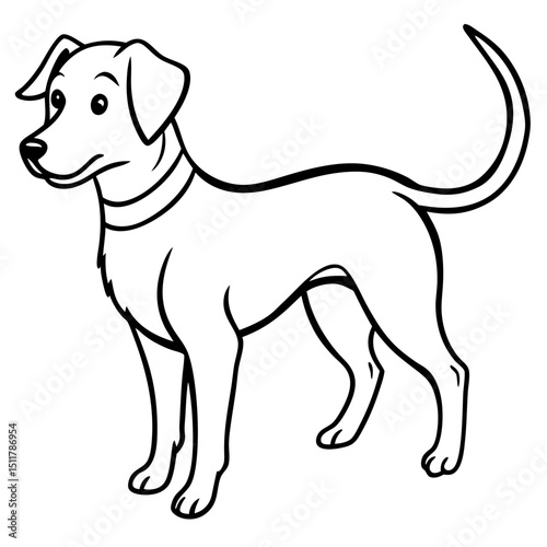 dog looking back