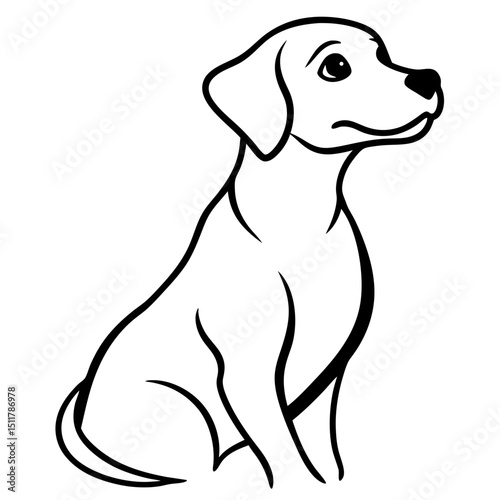 dog looking up