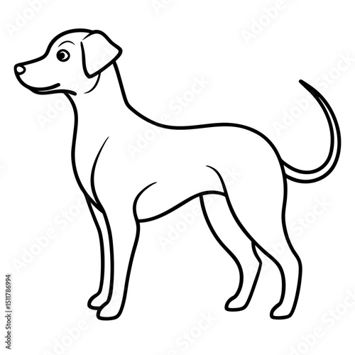 dog looking back