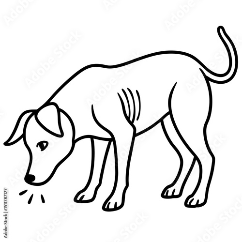  dog sniffing ground
