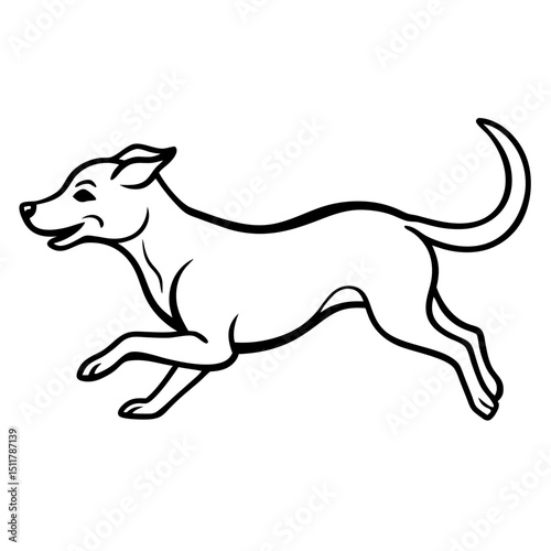 dog running in motion