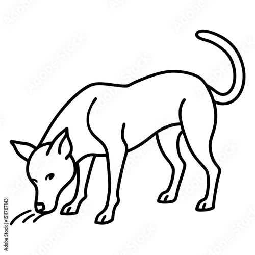  dog sniffing ground