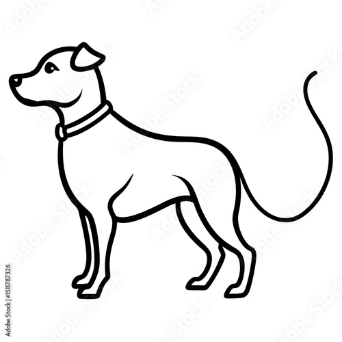 dog with leash