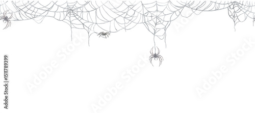 Obraz na plátně Spider web of different shapes, seamless horizontal border