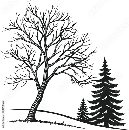 Minimalist vector silhouette of a bare winter tree branch against a stark black and white nature landscape, perfect for seasonal illustration design