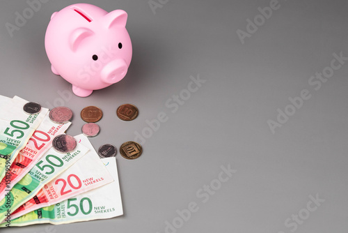 Quadro su tela Israel currency New Israeli shekel (NIS) banknotes and agorot coins and a piggy bank, concept of saving money, inflation, economic crisis, rising prices, and financial management