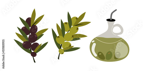 Bottle of olive oil with an olive sprig. Green and black olives with branch and leaves for mediterranean cuisine. Vector flat illustrations isolated on white background
