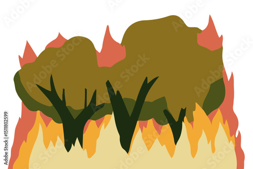 Forest Fire