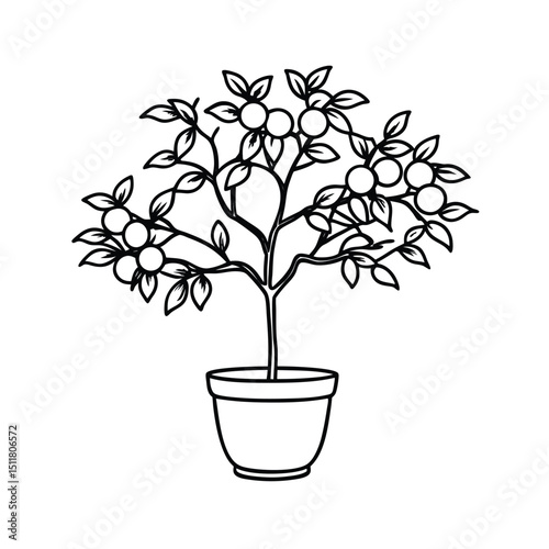 hand drawn plum tree with pot