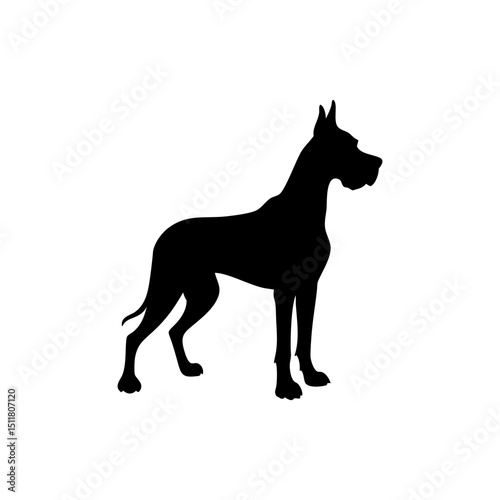 Great Dane Dog Silhouette Isolated on Transparent Background