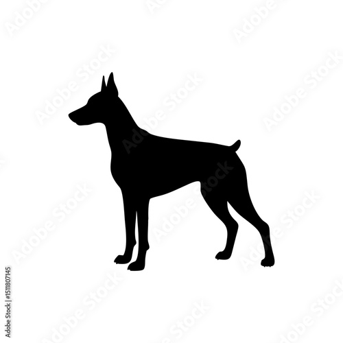 Doberman Pinscher Dog Silhouette Isolated on Transparent Background