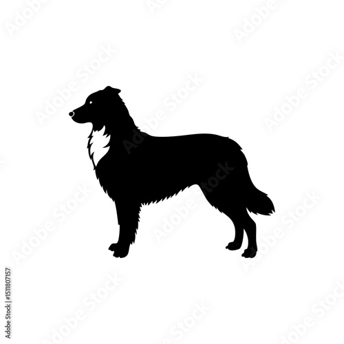 Australian Shepherd Dog Silhouette Isolated on Transparent Background
