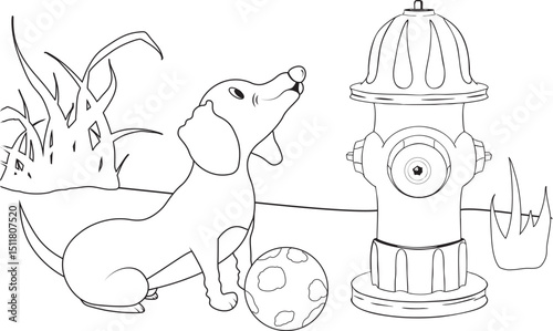 Humorous line art coloring page: a cartoon dachshund dog sits by a fire hydrant and a ball in an funny outdoor vector scene, ready for playful coloring.