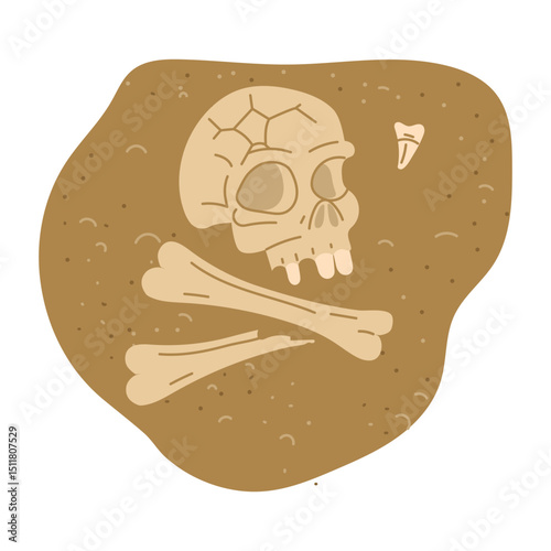 human skull with bones, teeth in the sand. An archaeological find. Historical value. for design of books, articles, posters and presentations on the topics of archeology, history of past, excavations