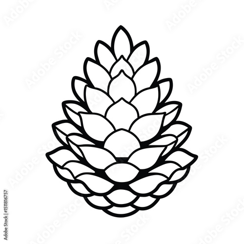 pinecone line art vector