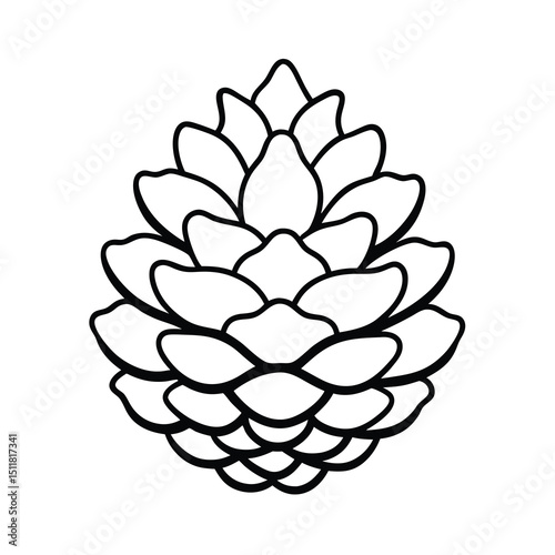 pinecone line art vector