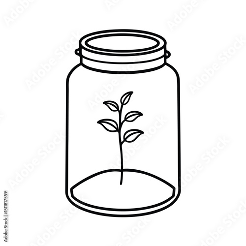 plant seedling in glass jar terrarium