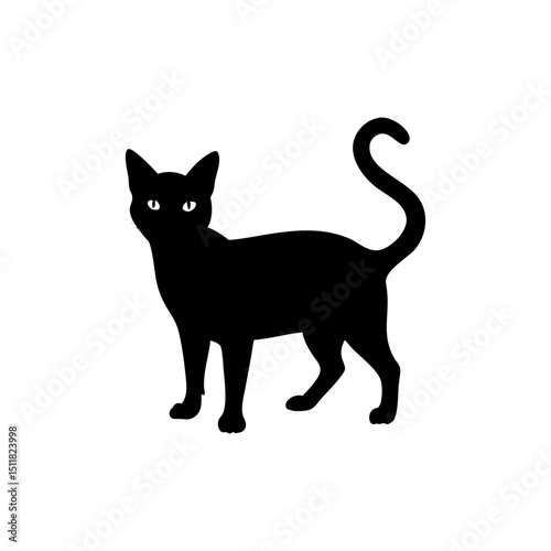 Burmese Cat Silhouette  Isolated on Transparent Background
