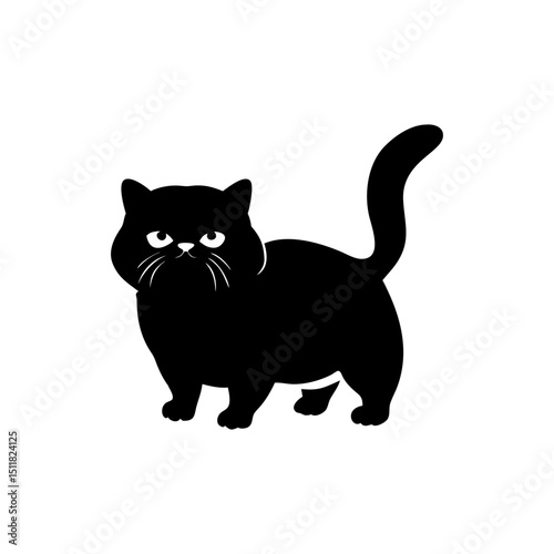 Exotic Shorthair Cat Silhouette  Isolated on Transparent Background