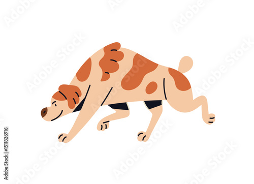 Hunting dog goes on the trail. Happy puppy is haunting, stalks, pursues a prey. Fluffy pet, pup of bloodhound sniffs smells on ground while walk. Flat isolated vector illustration on white background