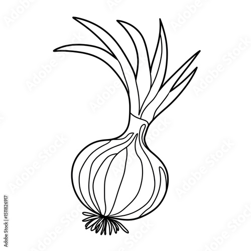 onion and garlic coloring page 