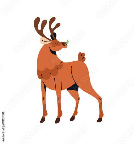 Wild deer is eating green grass. Funny reindeer with horns stands. Big hoofed animal of forest. Brown stag, bull or fawn is in woodland. Flat isolated vector illustration on white background
