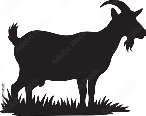 goat on white background